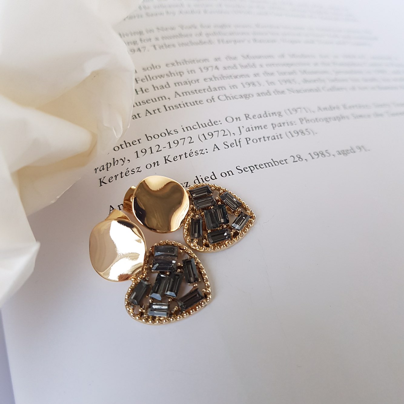 Loveholic Swallow Drop Earrings 3color Retro Mood 