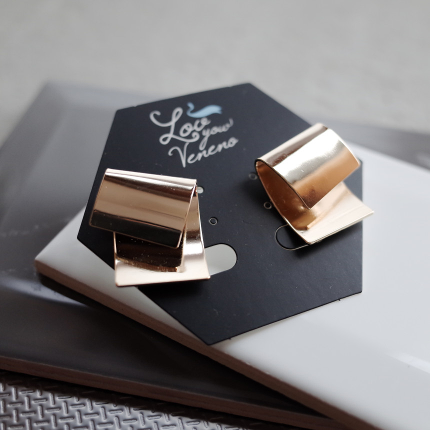 NO.73 Pauline Metal Modern Sick Simple Earrings St