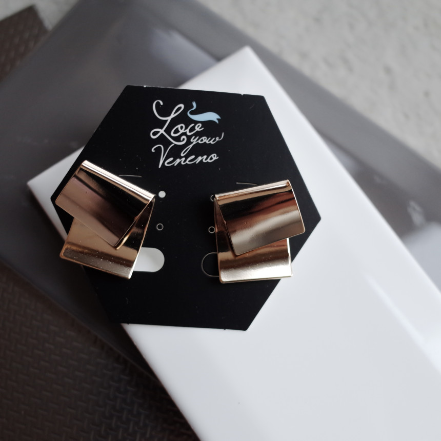 NO.73 Pauline Metal Modern Sick Simple Earrings St