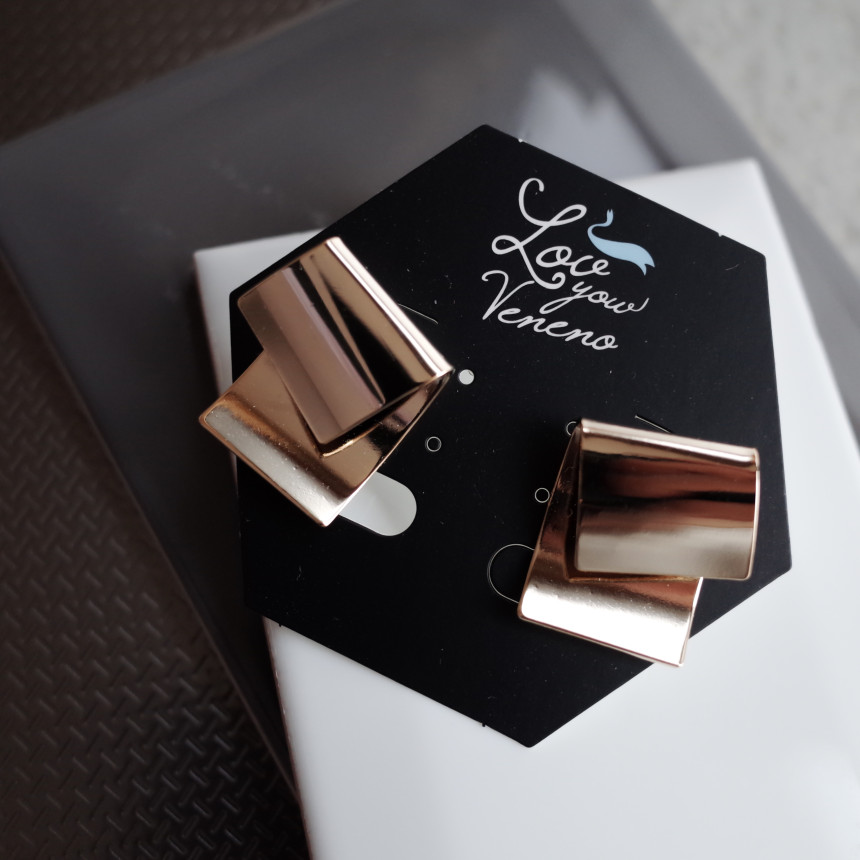 NO.73 Pauline Metal Modern Sick Simple Earrings St