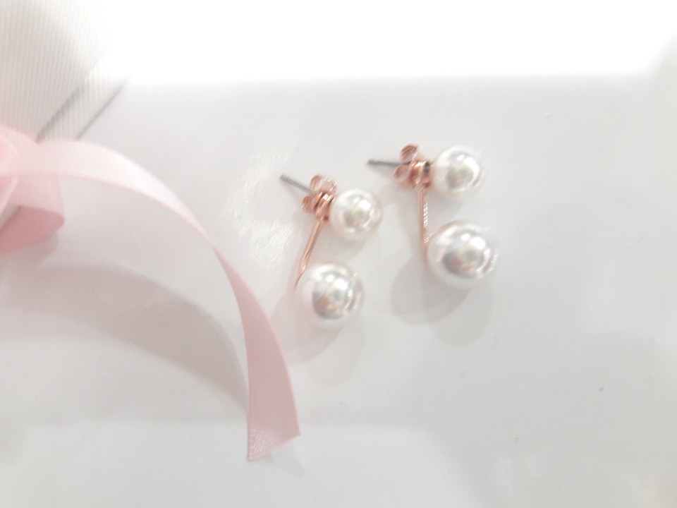 <b><p>Shipped same day Twinkle good Black Swan</p></b><b><p>当日出荷 きらめきが 良い ブラックスワン イヤリング、 ドロップ きれいな 流行している</p></b><br /><br /><p align='center'>