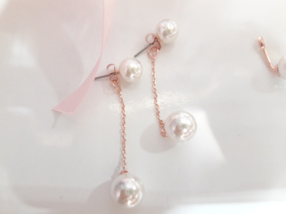 <b><p>Shipped same day Twinkle good Black Swan</p></b><b><p>当日出荷 きらめきが 良い ブラックスワン イヤリング、 ドロップ きれいな 流行している</p></b><br /><br /><p align='center'>