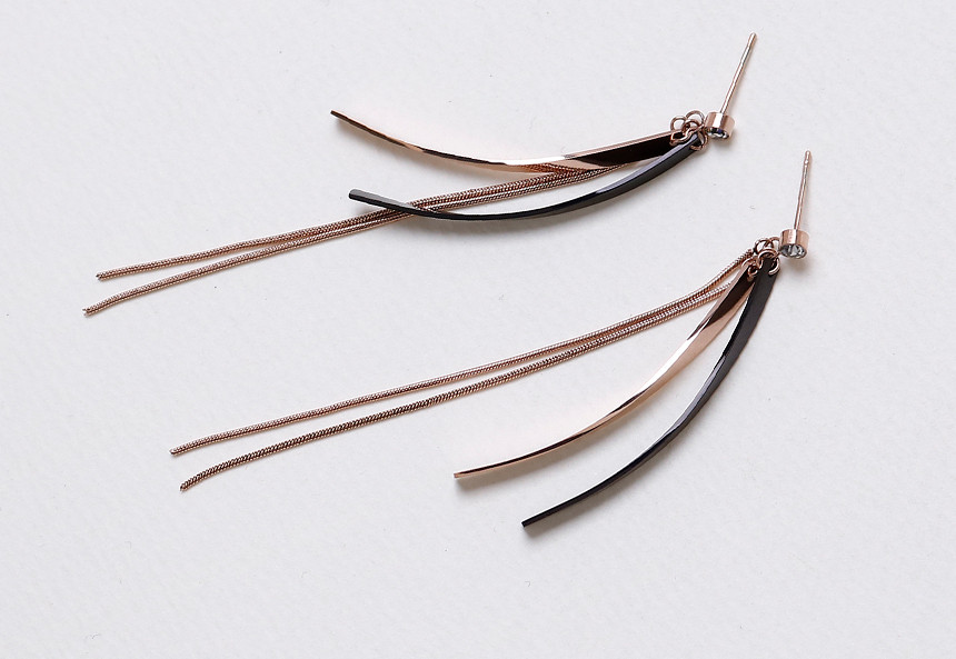 Dodo Secret Surge Steel Earrings Titanium Stainles