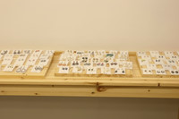 titaniumpost gold antique bold earrings bling blin