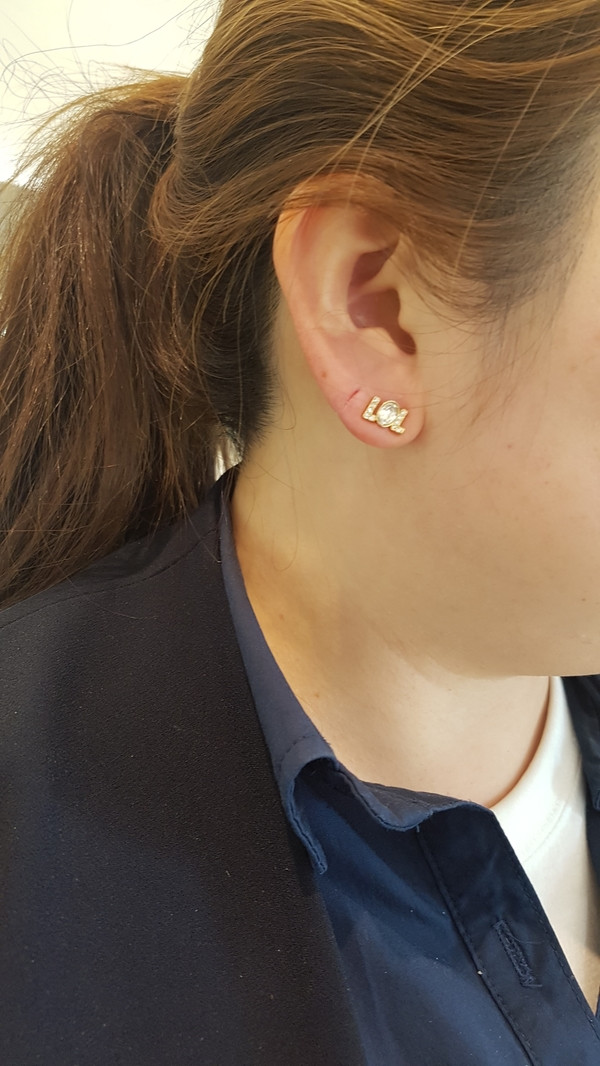 스와 로브 스키 HUMORIST PE 5351575