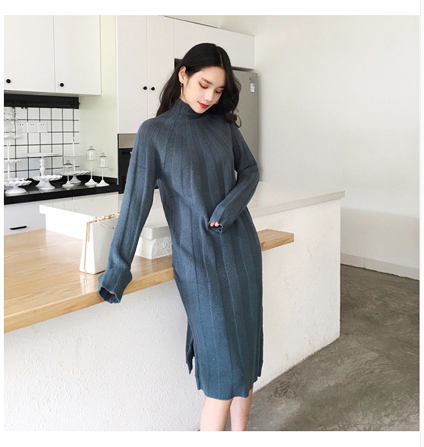 Long knit dress Winter 30 women Polar turtleneck