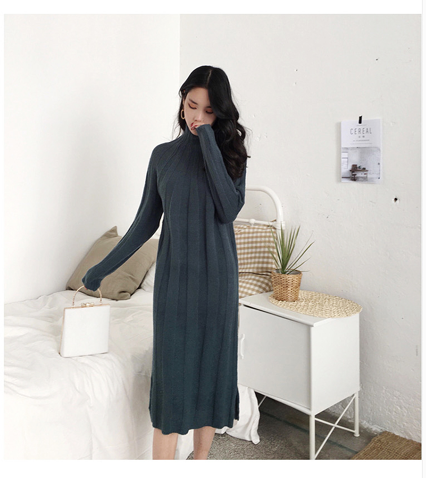 Long knit dress Winter 30 women Polar turtleneck