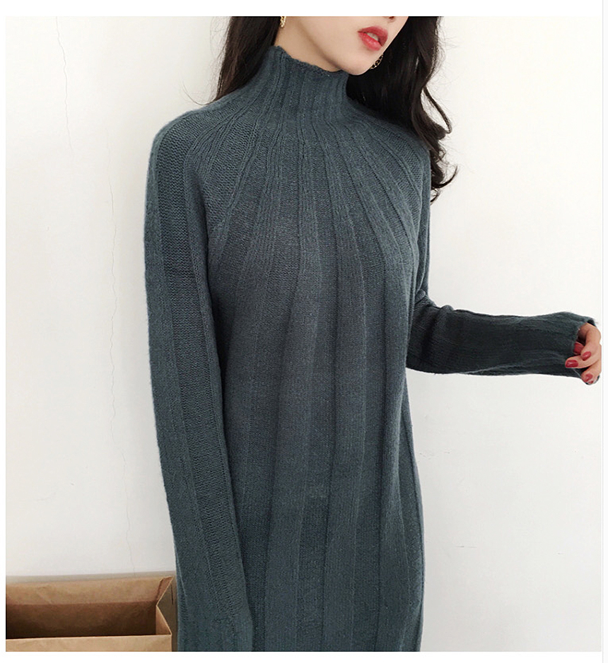 Long knit dress Winter 30 women Polar turtleneck
