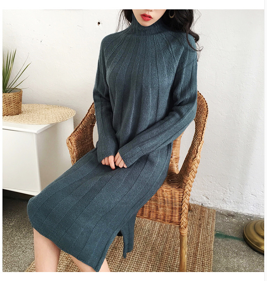 Long knit dress Winter 30 women Polar turtleneck