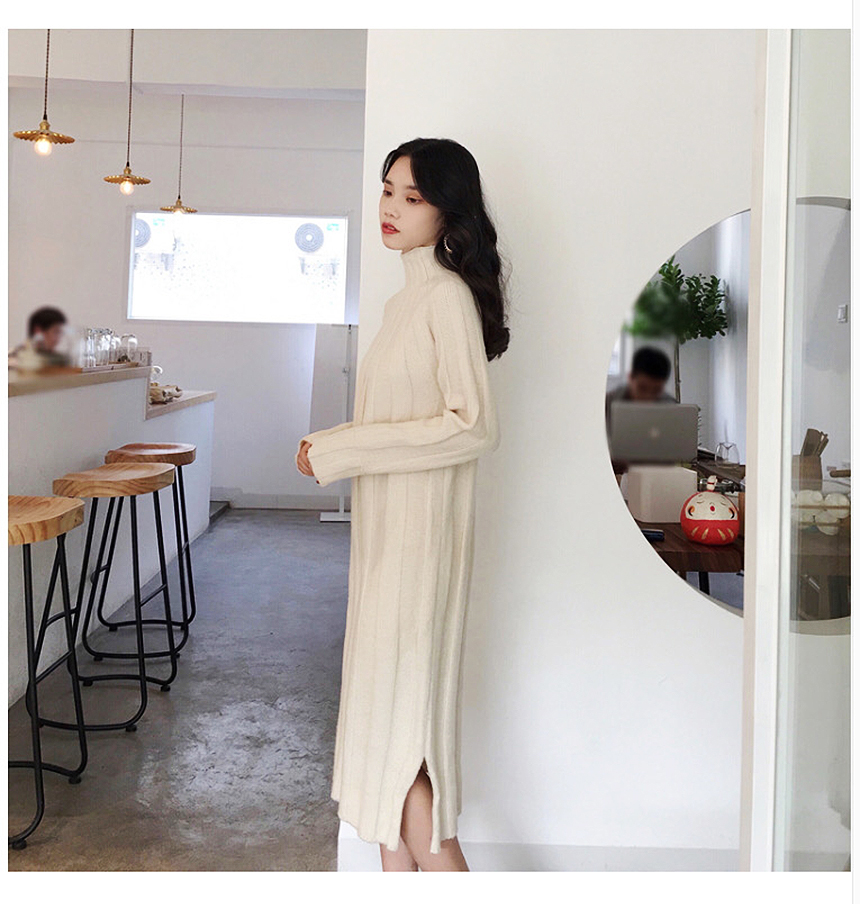 Long knit dress Winter 30 women Polar turtleneck