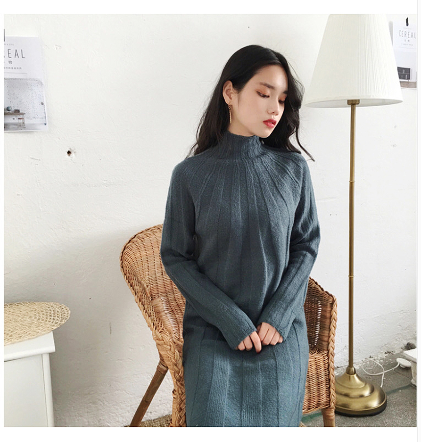 Long knit dress Winter 30 women Polar turtleneck