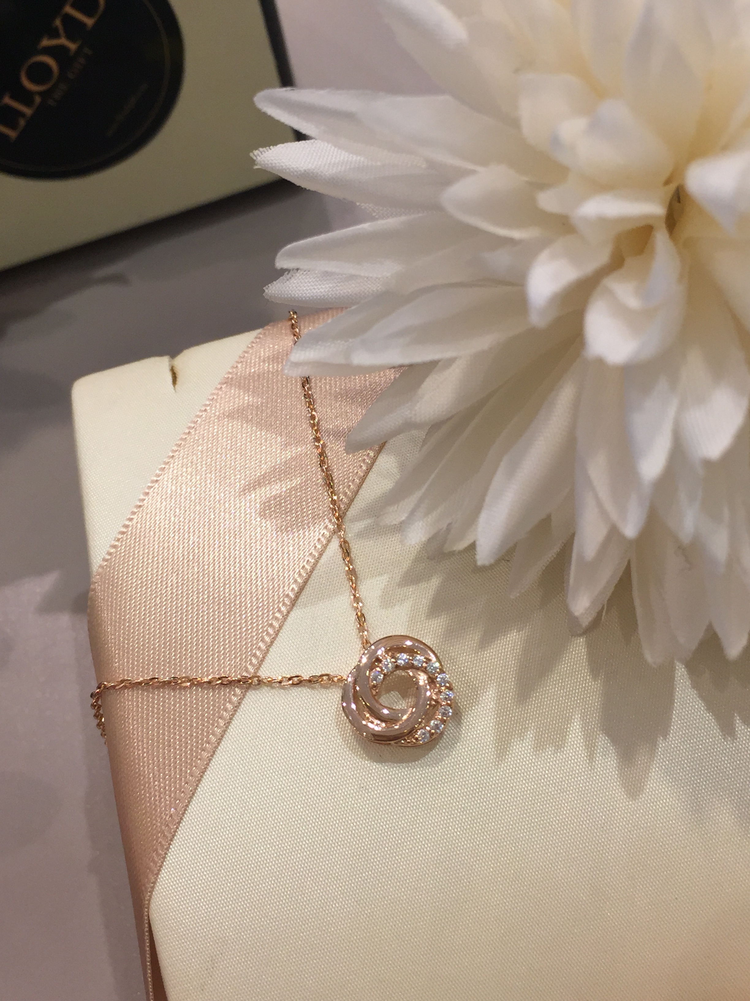 Lloyd Triangle Knot Necklace LPP17069 LN090434 Wom