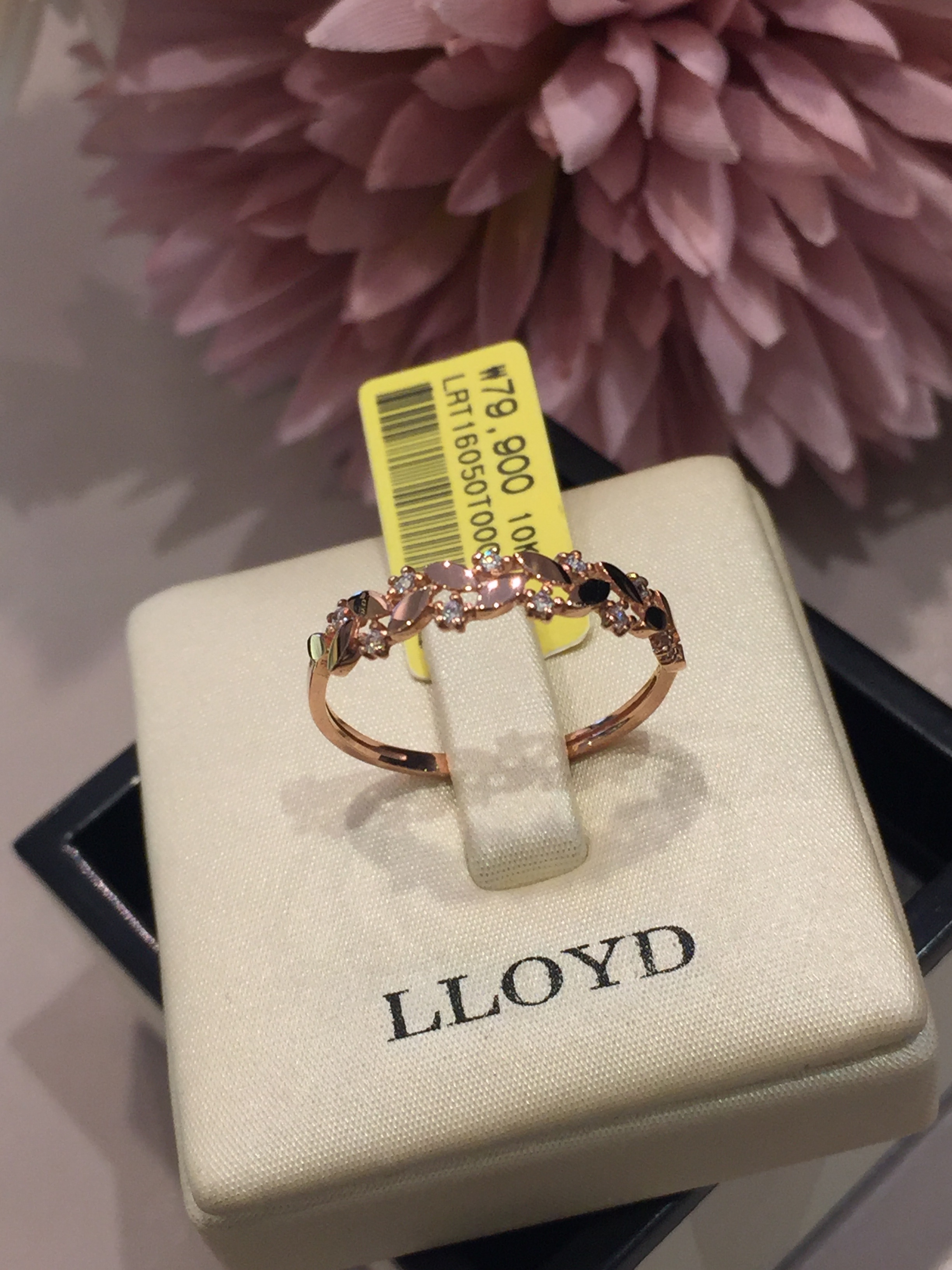 <b><p>Lloyd Sweet Bay Doubling LRT16050 Lovely</p></b><b><p>ロイド スイートベイ 倍増 LRT16050 ラブリーなコーディネ 20代の女性</p></b><br /><br /><p align='center'>