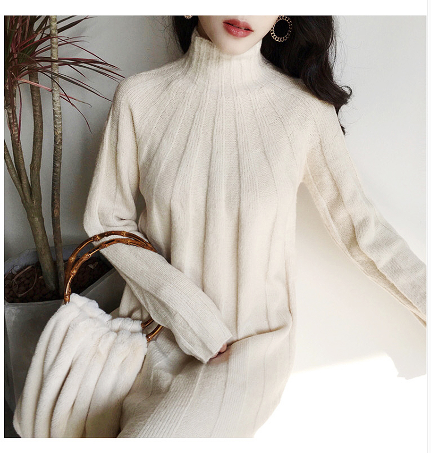 Long knit dress Winter 30 women Polar turtleneck