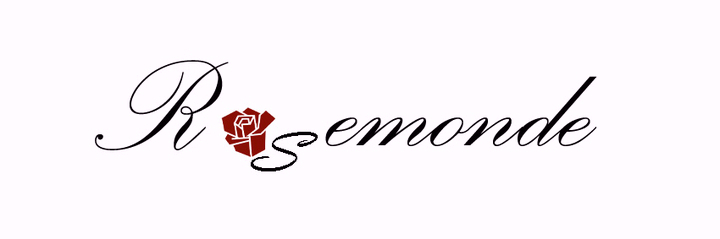 Silver Length Adjustable Double Drop Earring Earri