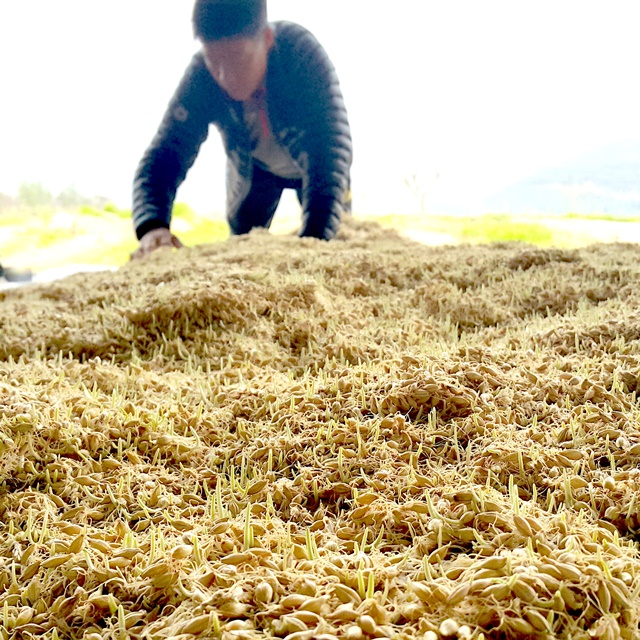 지리산농부들 쌀로 만든 생강청 250g 단품구매 - 상세 이미지 3