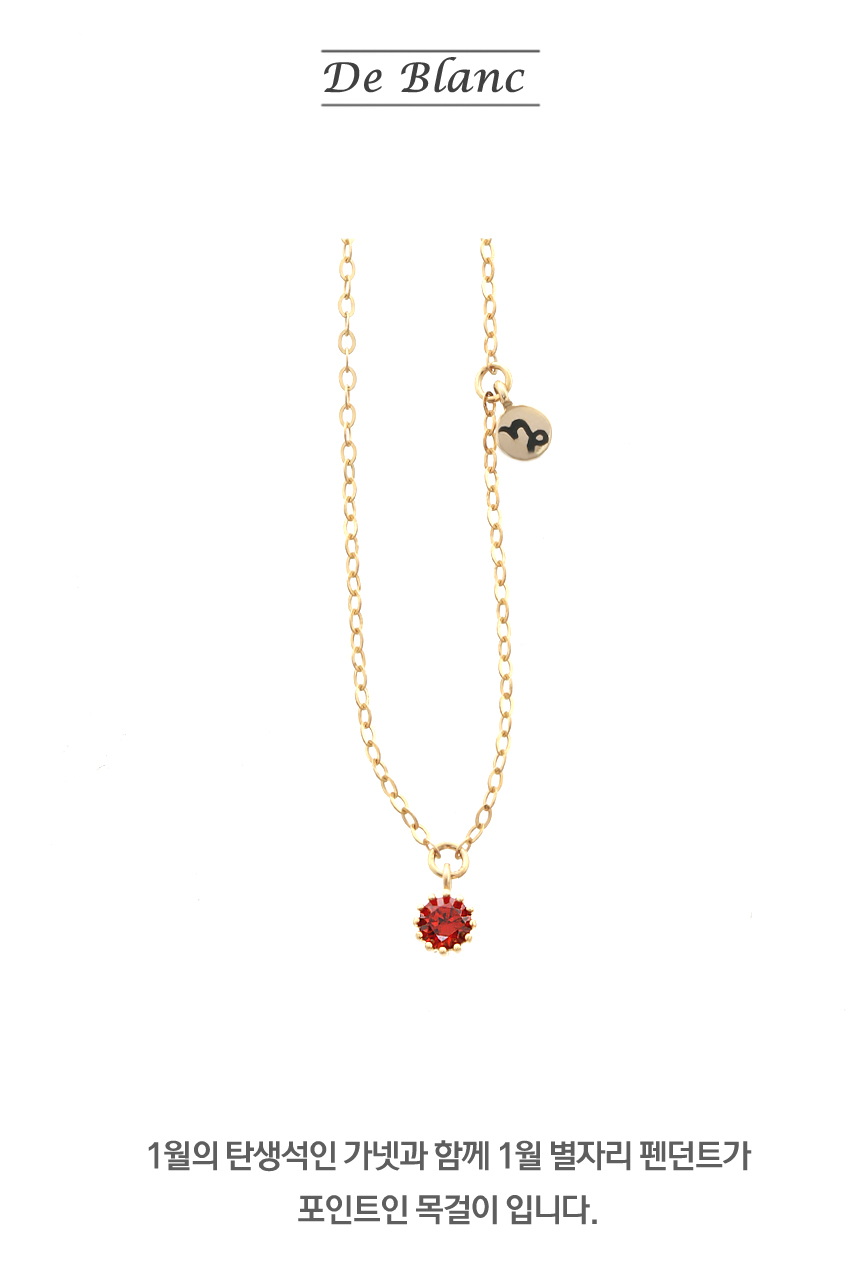 Birthstone January constellation necklace woman gi