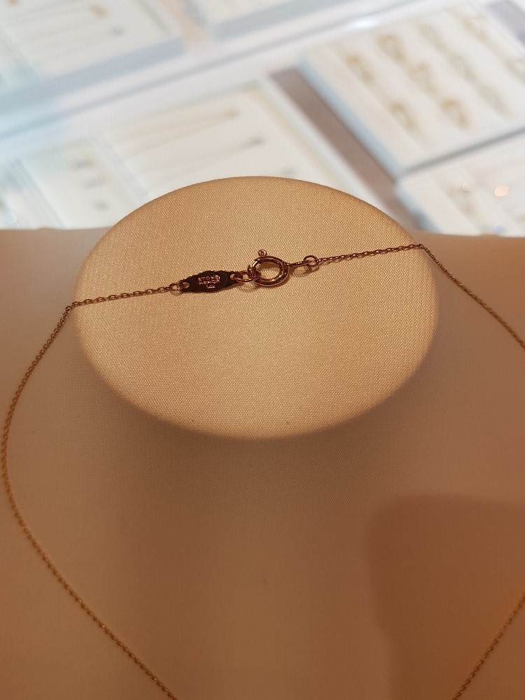 Stonehenge Rose Gold Coin Ten Necklace T0840