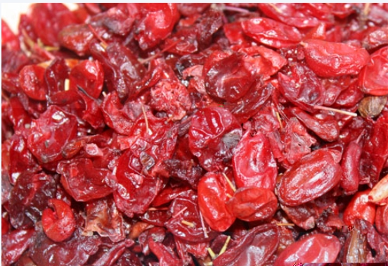 말린 산수유 마른산수유 500g 전남구례산 제품 이미지