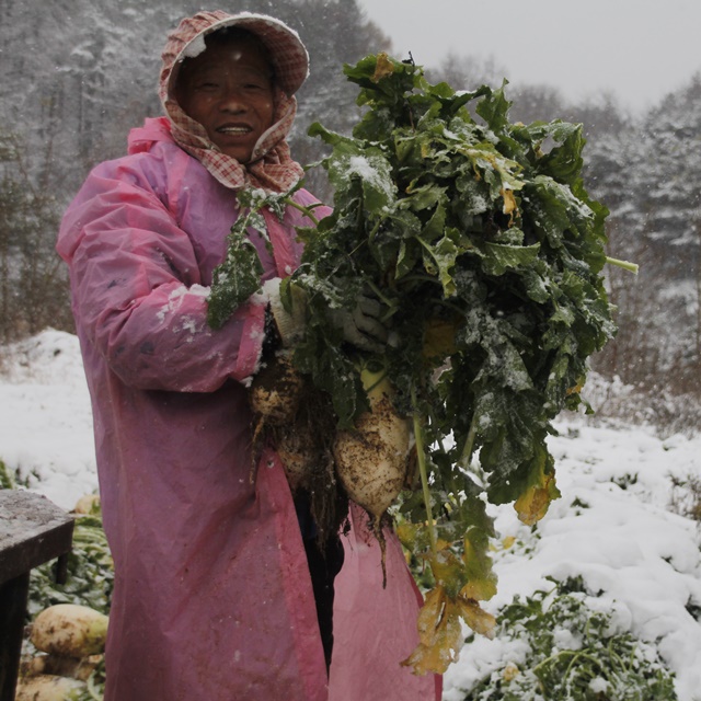 한국기행 무엿 서리맞은 무조청 환절기 건강관리 마늘생강도라지수수 엿기름 정경아 조청