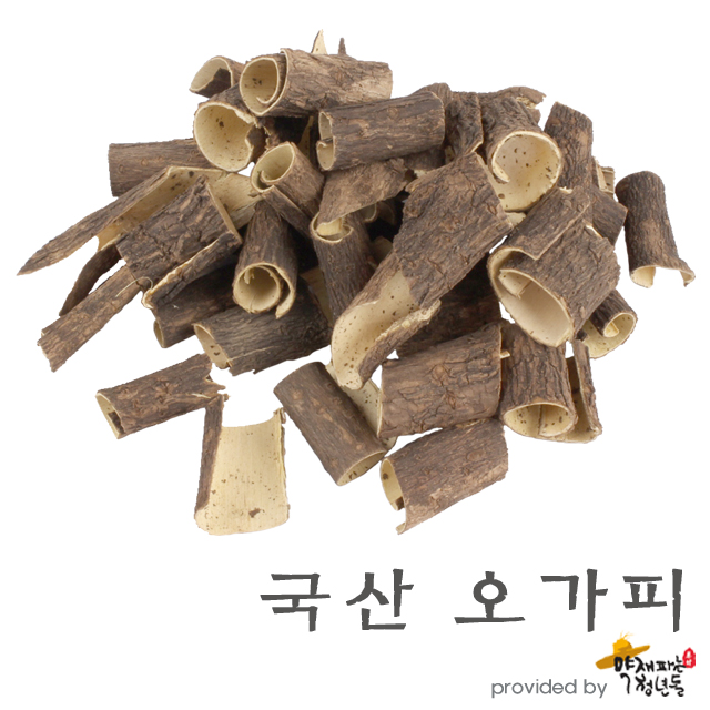 국산 진오가피 600g, 오갈피 오가피 나무 껍질 - 상품 이미지