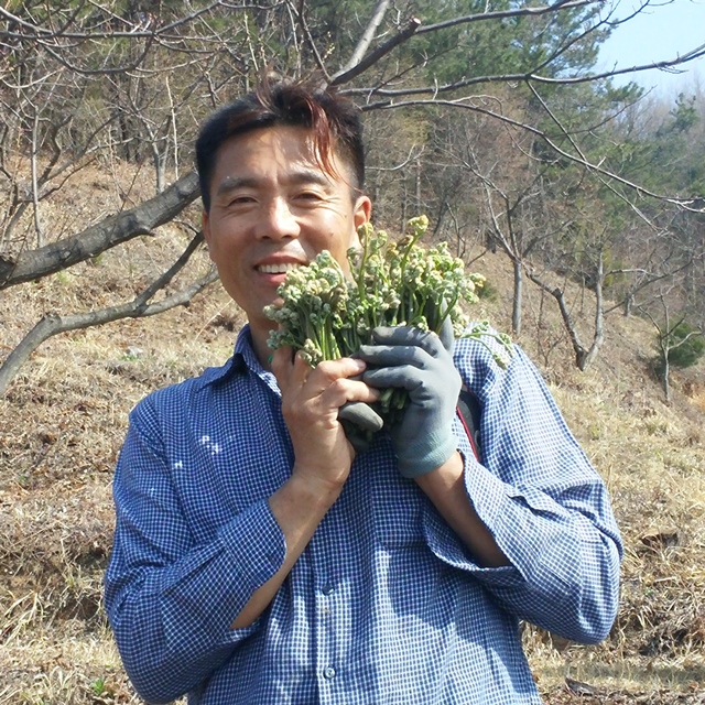 유기농 삶은 고사리 1kg 부여 햇고사리