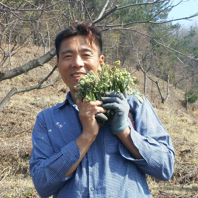 유기농 삶은 고사리 1kg 부여 햇고사리 — 어떤 점이 좋을까요?