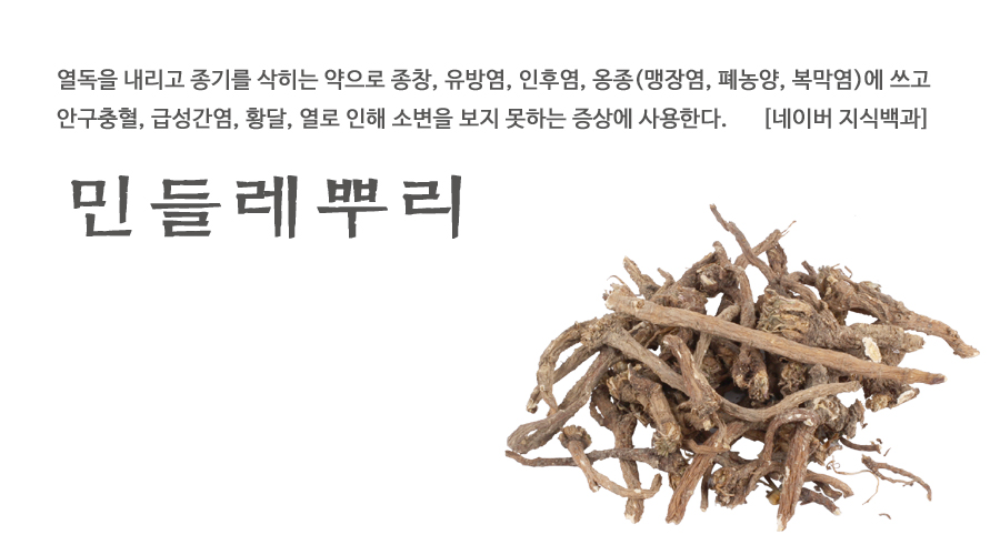 국산 민들레뿌리 600g - 상세 이미지 2