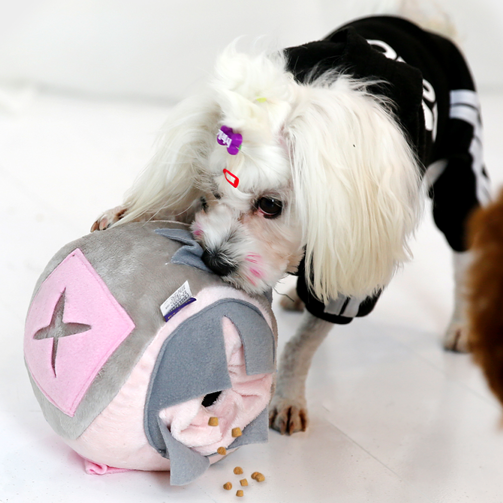 더플래 강아지 노즈워크 워킹볼 킁킁볼 장난감