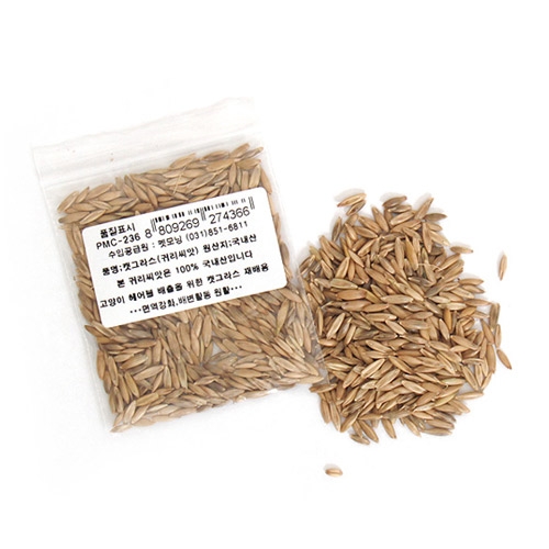 펫모닝 귀리씨앗 12g (PMC-236) - 상품 이미지