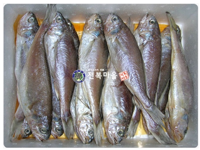 손질조기 조기굴비(중) 5마리 선물용참조기 반건조생선