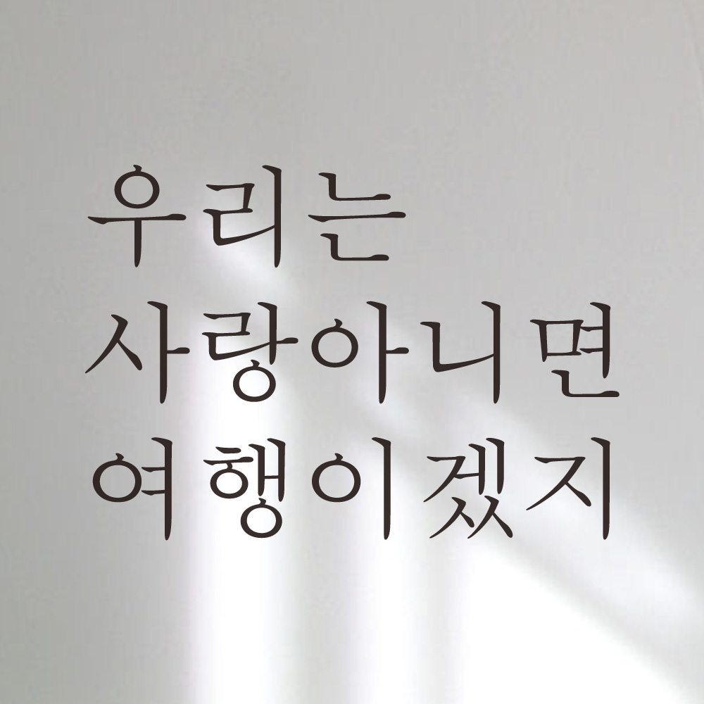 레터링 글씨 스티커 우리는 사랑아니면 여행이겠지 검정S - 상품 이미지