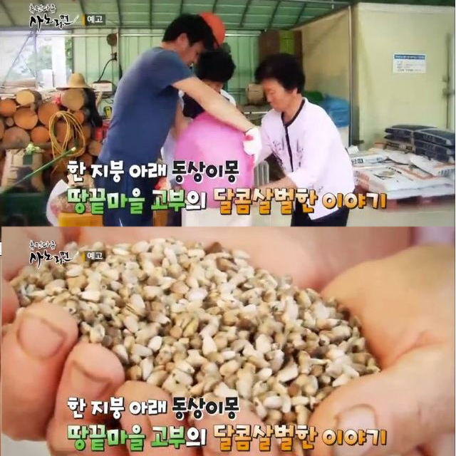 <b><p>Korean Haenam Roasted Safflower se udt Ty</p></b><b><p>韓国語 海南 ロースト 種子 生 おいしい 健康 炒め 500g 1キロ</p></b><br /><br /><p align='center'>