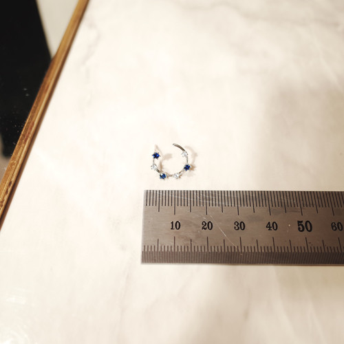 <b><p>with you Moonlight earring</p></b><b><p>君 一緒に 月夜 イヤリング</p></b><br /><br /><p align='center'>