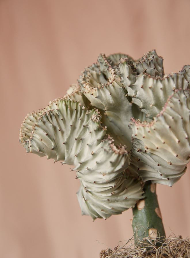 <b><p>MATIAS Silver leaf Earring Loly gs Modn Circ</p></b><b><p>MATIAS 銀 葉 イヤリング 愛らしいピアス モダンサークル 簡単スタイル シンプルー</p></b><br /><br /><p align='center'>