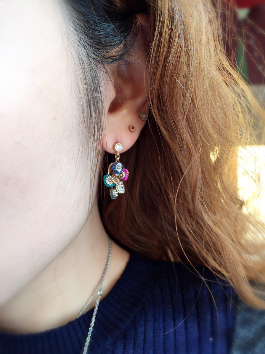 <b><p>Handmade Colorful Fruit earring</p></b><b><p>手作り カラフルな 実 イヤリング</p></b><br /><br /><p align='center'>