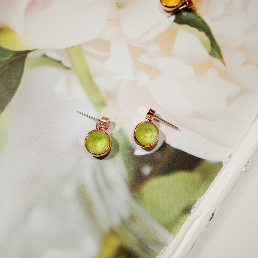 <b><p>Spring new arval Swlow cor simple</p></b><b><p>春身上 スワローに カラー シンプル イヤリング</p></b><br /><br /><p align='center'>