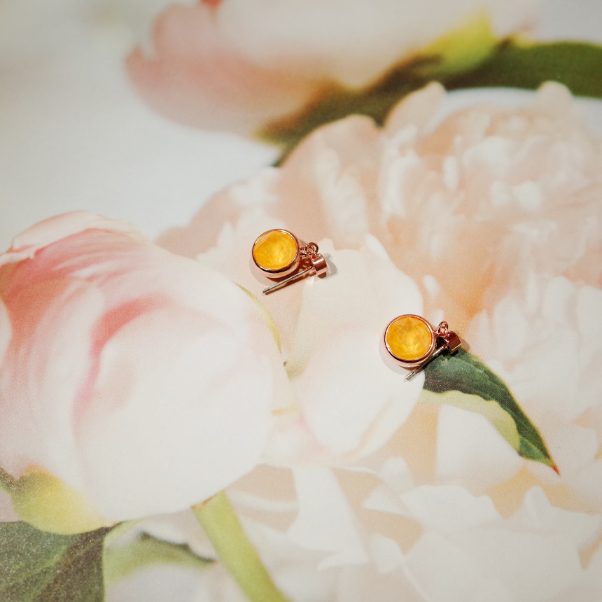 <b><p>Spring new arval Swlow cor simple</p></b><b><p>春身上 スワローに カラー シンプル イヤリング</p></b><br /><br /><p align='center'>