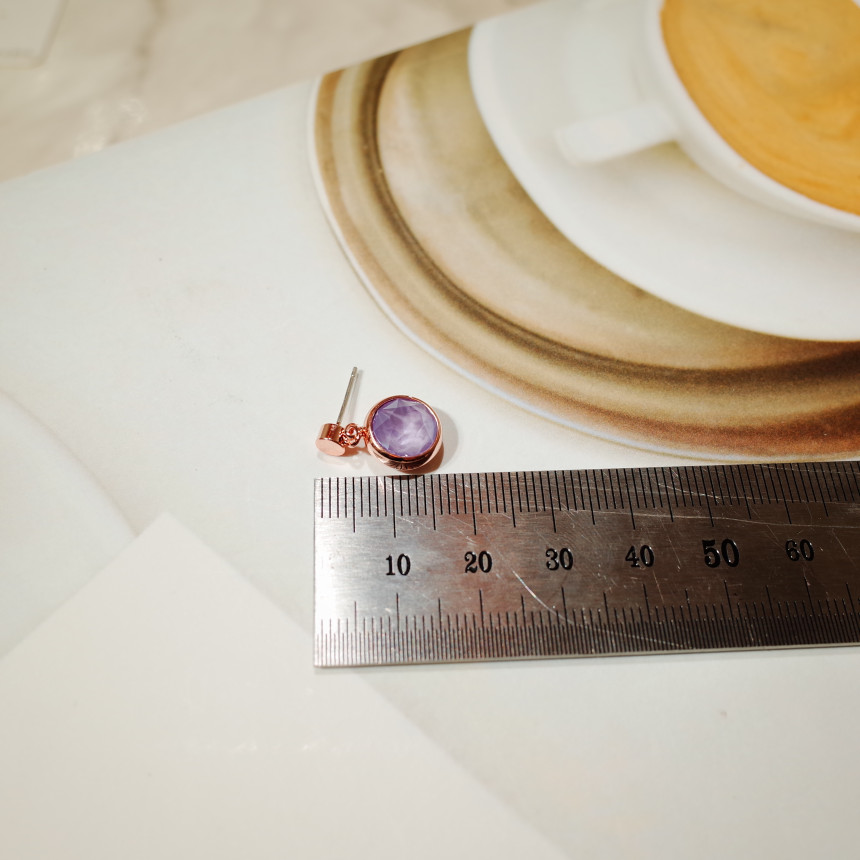 <b><p>Spring new arval Swlow cor simple</p></b><b><p>春身上 スワローに カラー シンプル イヤリング</p></b><br /><br /><p align='center'>