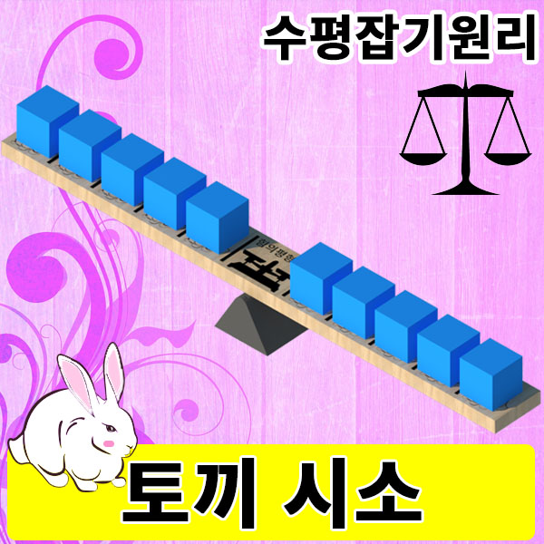수평잡기원리 토끼시소 힘의평형실험 과학교구 - 메인 이미지