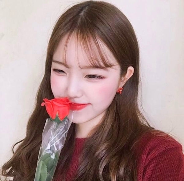 <b><p>Order rush Camellia earring flow recomndation</p></b><b><p>注文殺到 椿 イヤリング フラワー おすすめ デイリー 春身上</p></b><br /><br /><p align='center'>