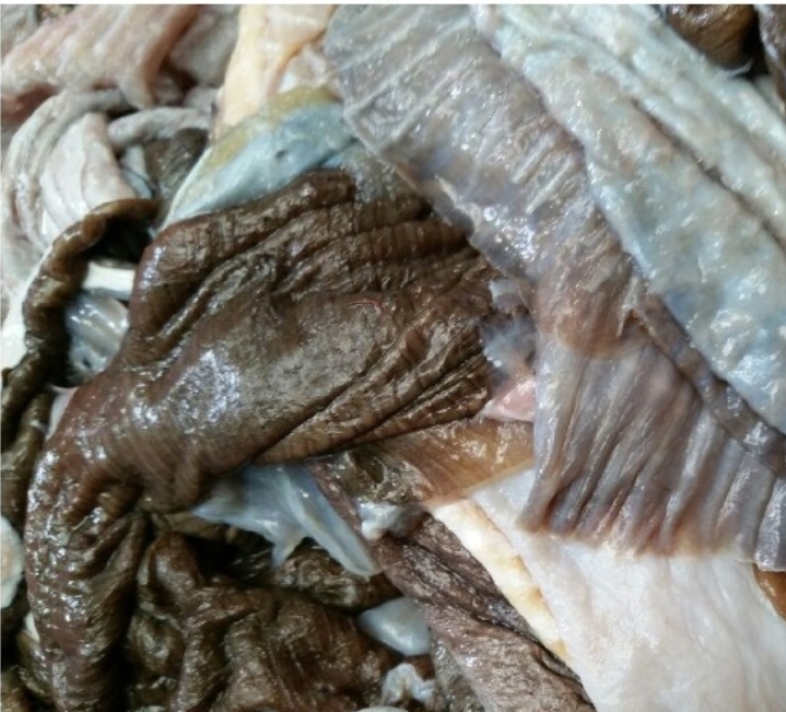 홍어껍질 콜라겐식품 1kg 홍어껍질 효능