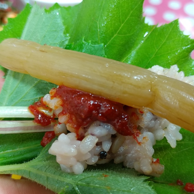 친환경 머위대 1kg 머위 자연산 국내산 이미지 4