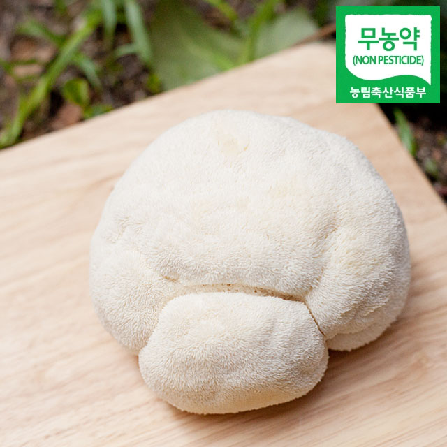 생노루궁뎅이버섯 무농약 먹는법 선물 900g 부안 - 상세 이미지 2