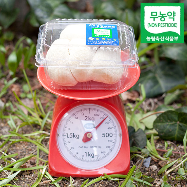 생노루궁뎅이버섯 무농약 먹는법 선물 900g 부안 이미지 6