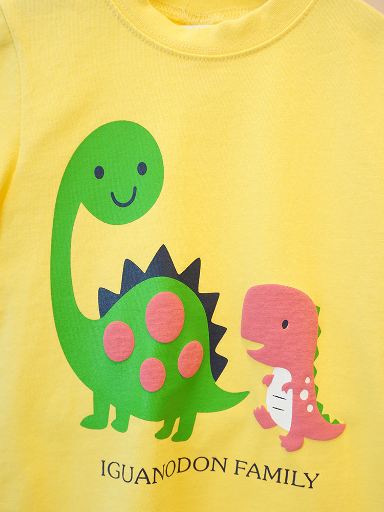 <b><p>dinosaur family Short sleeves T-shi col Nice</p></b><b><p>恐竜 家族 半袖 Tシャツ 3 色 肌触りの良い 姉妹ルックコーディネート 女の子</p></b><br /><br /><p align='center'>