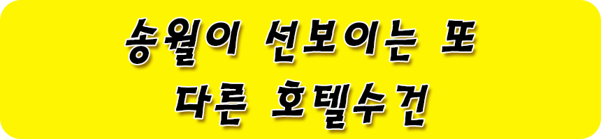 <b><p>Songwol towel Reputable hot 40 Birthday care</p></b><b><p>ソンウォルタオル 評判の ホテル 40数 初誕生日 保育園 スポーツ 進物 リング</p></b><br /><br /><p align='center'>