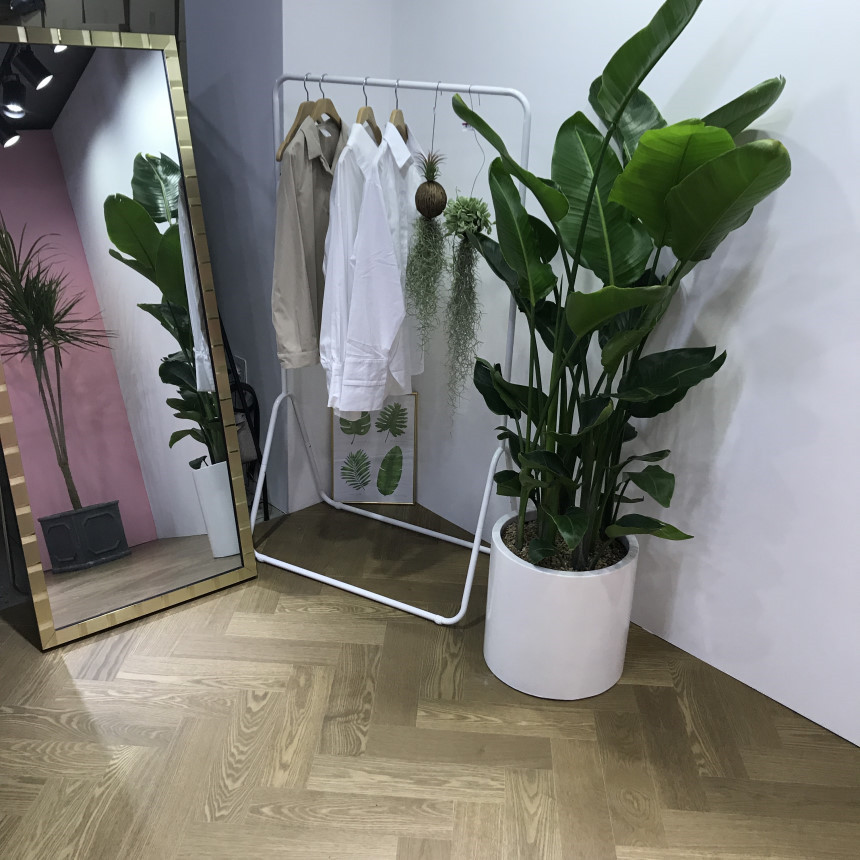 <b><p>Pansy Flower Frill bikini swimsuit 2cor pattn</p></b><b><p>パンジーフラワー フリル ビキニ 水着 2色 パターン 2pcs女性服 セット モノ</p></b><br /><br /><p align='center'>