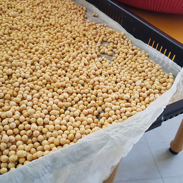 볶은콩가루 국산 인절미콩가루 250g : 장나와라