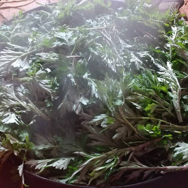 국산 약쑥 말린 건조 친환경 말린쑥 200g 이미지 6